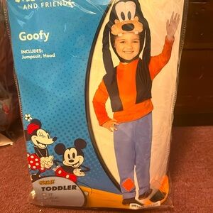 Goofy costume, wore one time